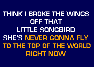 THINK I BROKE THE VUINGS
OFF THAT
LITI'LE SONGBIRD

SHE'S NEVER GONNA FLY
TO THE TOP OF THE WORLD

RIGHT NOW