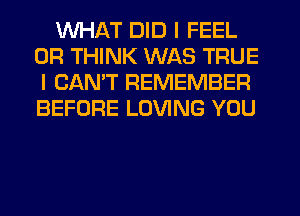 WHAT DID I FEEL
0R THINK WAS TRUE
I CANT REMEMBER
BEFORE LOVING YOU
