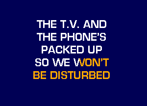 THE T.V. AND
THE PHDNE'S
PACKED UP

30 WE WON'T
BE DISTURBED