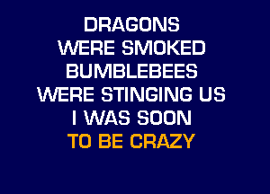 DRAGONS
WERE SMOKED
BUMBLEBEES
WERE STINGING US
I WAS SOON
TO BE CRAZY