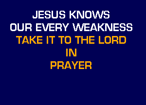 JESUS KNOWS
OUR EVERY WEAKNESS
TAKE IT TO THE LORD
IN
PRAYER