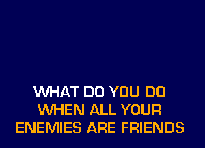 WHAT DO YOU DO
WHEN ALL YOUR
ENEMIES ARE FRIENDS