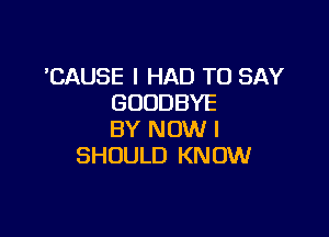 'CAUSE I HAD TO SAY
GOODBYE

BY NOW I
SHOULD KNOW