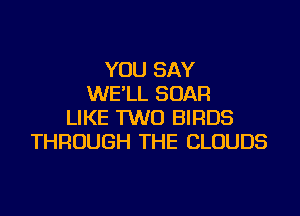 YOU SAY
WE'LL SOAR

LIKE TWO BIRDS
THROUGH THE CLOUDS