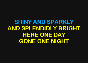SHINY AND SPARKLY
AND SPLENDIDLY BRIGHT

HERE ONE DAY
GONE ONE NIGHT