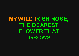 MYWILD IRISH ROSE,
THE DEAREST

FLOWER THAT
GROWS