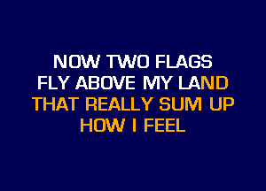 NOW 1W0 FLAGS
FLY ABOVE MY LAND
THAT REALLY SUM UP
HOW I FEEL