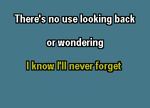 There's no use looking back

or wondering

I know I'll never forget
