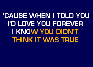 'CAUSE WHEN I TOLD YOU
I'D LOVE YOU FOREVER
I KNOW YOU DIDN'T
THINK IT WAS TRUE