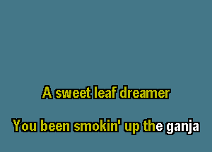 A sweet leaf dreamer

You been smokin' up the ganja