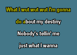 What I wut wut wut I'm gonna
do about my destiny

Nobody's tellin' me

just what I wanna