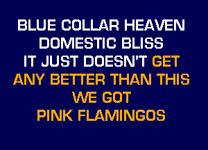 BLUE COLLAR HEAVEN
DOMESTIC BLISS
IT JUST DOESN'T GET
ANY BETTER THAN THIS
WE GOT
PINK FLAMINGOS