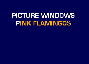 PICTURE WINDOWS
PINK FLAMINGOS