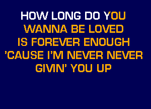 HOW LONG DO YOU
WANNA BE LOVED
IS FOREVER ENOUGH
'CAUSE I'M NEVER NEVER
GIVIM YOU UP