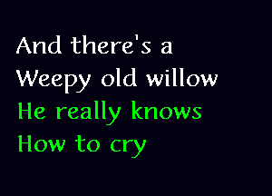 And there's a
Weepy old willow

He really knows
How to cry