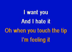 I want you
And I hate it

Oh when you touch the tip

I'm feeling it