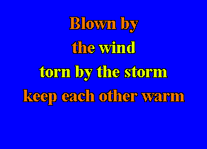 Blown by
the Wind
torn by the storm

keep each other warm
