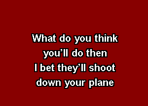 What do you think

you, do then
I bet they, shoot
down your plane