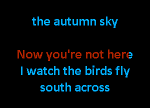 the autumn sky

Now you're not here
I watch the birds fly
south across