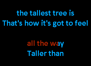 the tallest tree is
That's how it's got to feel

all the way
TaHerthan