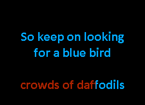 So keep on looking

for a blue bird

crowds of daffodils
