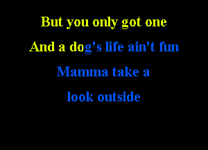 But you only got one

And a dog's life ain't fun
Mamma take a

look outside