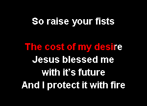 So raise your fists

The cost of my desire

Jesus blessed me
with it's future
And I protect it with fire