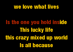 we love what lives

Is the one you hold inside
This lucky life

this crazy mixed up world
Is all because