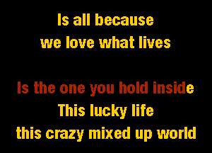 Is all because
we love what lives

Is the one you hold inside
This lucky life
this crazy mixed up world
