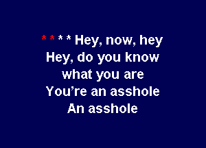 a ' Hey, now, hey
Hey, do you know

what you are
Yowre an asshole
An asshole