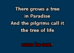 There grows a tree

in Paradise
And the pilgrims call it

the tree of life