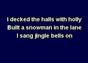 I decked the halls with holly
Built a snowman in the lane

lsang jingle bells on
