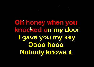 Oh honey when you
knocked on my door

I gave you my key
0000 hooo
Nobody knows it