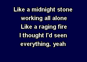 Like a midnight stone
working all alone
Like a raging fire

lthought I'd seen
everything, yeah