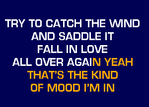 TRY TO CATCH THE WIND
AND SADDLE IT
FALL IN LOVE
ALL OVER AGAIN YEAH
THAT'S THE KIND
OF MOOD I'M IN