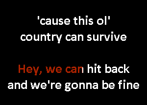 'cause this ol'
country can survive

Hey, we can hit back
and we're gonna be fine