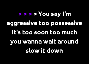 You say I'm
aggressive too possessive
It's too soon too much
you wanna wait around
slow it down