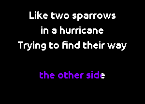 Like two sparrows
in a hurricane
Trying to find their way

the other side