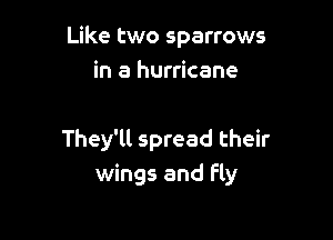 Like two sparrows
in a hurricane

They'll spread their
wings and Fly