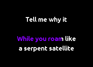 Tell me why it

While you roam like
a serpent satellite