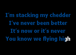 I'm stacking my chedder
I've never been better
It's now or it's never

You know we flying high