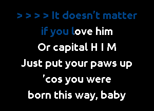 5 za- za a- It doesn't matter

if you love him
Or capital H l M

Just put your paws up
'cos you were
born this way, baby