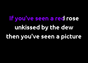 IF you've seen a red rose
unkissed by the dew

then you've seen a picture