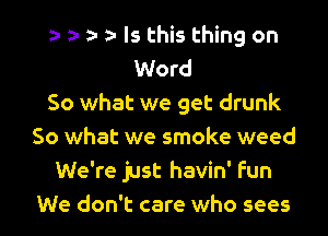 Is this thing on
Word
So what we get drunk
So what we smoke weed
We're just havin' fun
We don't care who sees