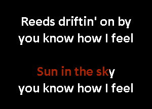 Reeds driftin' on by
you know how I feel

Sun in the sky
you know how I feel