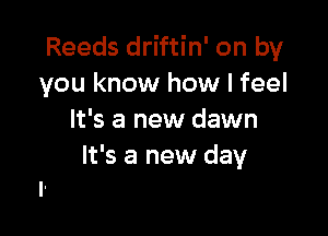 Reeds driftin' on by
you know how I feel

It's a new dawn
It's a new day