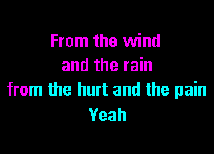 From the wind
and the rain

from the hurt and the pain
Yeah