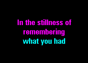 In the stillness of

remembering
what you had