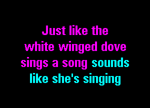 Just like the
white winged dove

sings a song sounds
like she's singing
