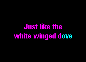 Just like the

white winged dove